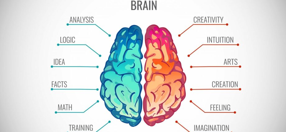 Hemispheres of the brain, creativity and the “Moravec paradox”