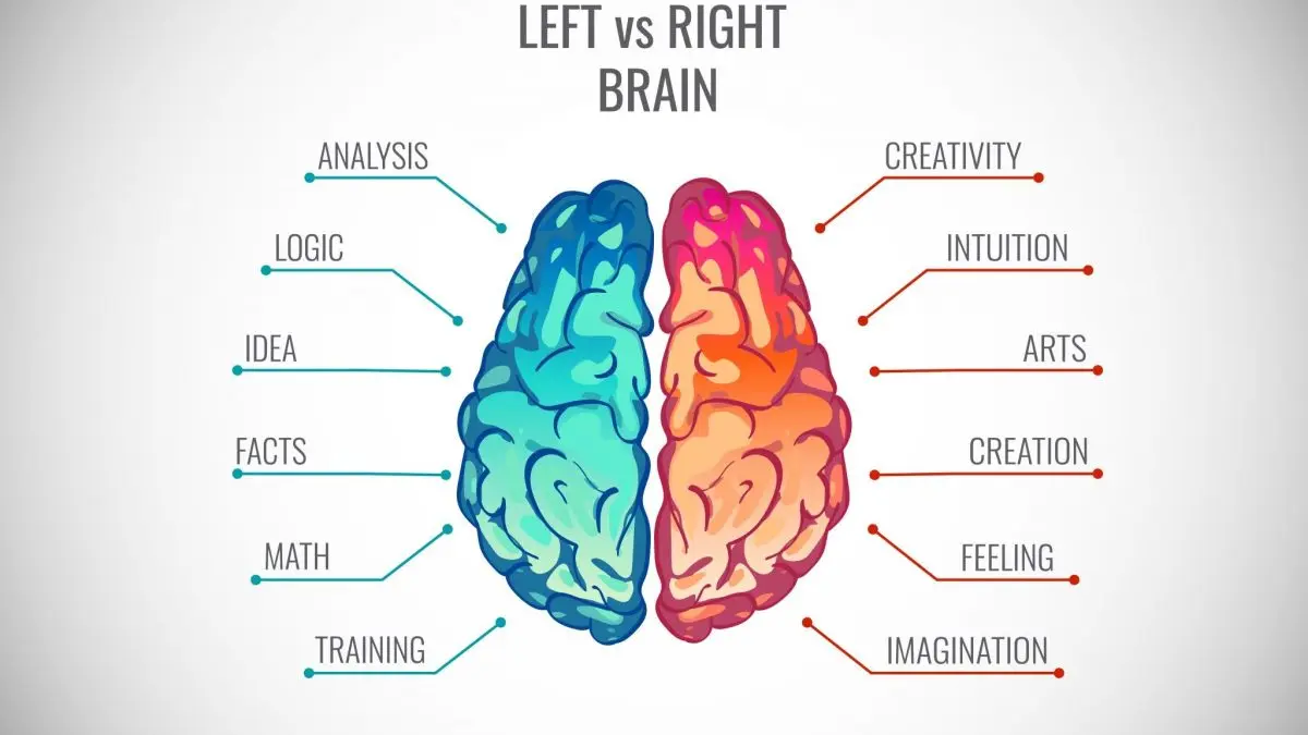 Hemispheres of the brain, creativity and the “Moravec paradox”