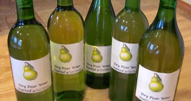Homemade apple and pear wine
