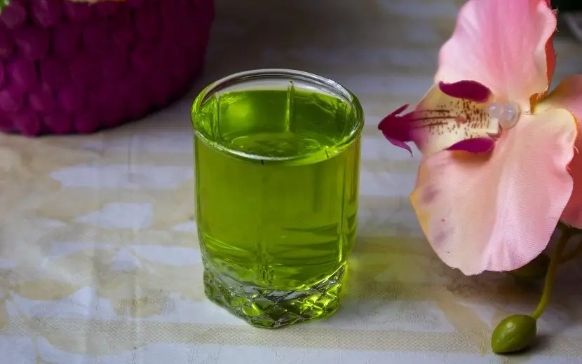 Homemade basil liqueur on vodka