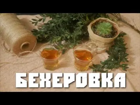 Homemade Becherovka (Czech herbal liqueur)