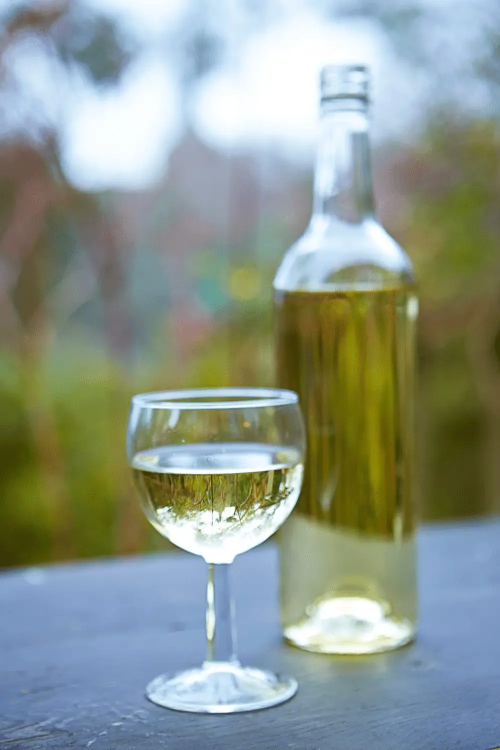 Homemade birch sap wine