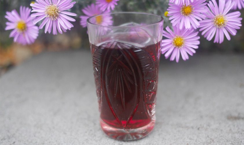 Homemade blackberry tincture