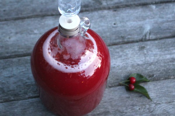 Homemade cherry wine with pits