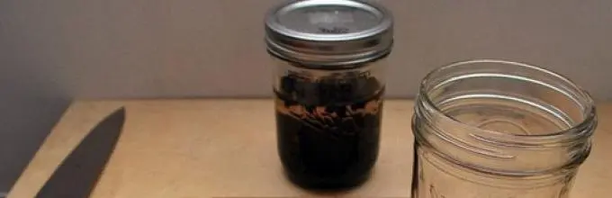 Homemade cognac from prunes (imitation on vodka, alcohol, moonshine)