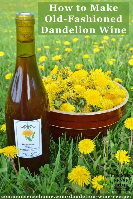 Homemade dandelion wine