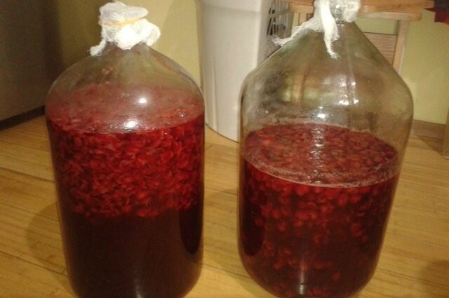 Homemade dogwood wine