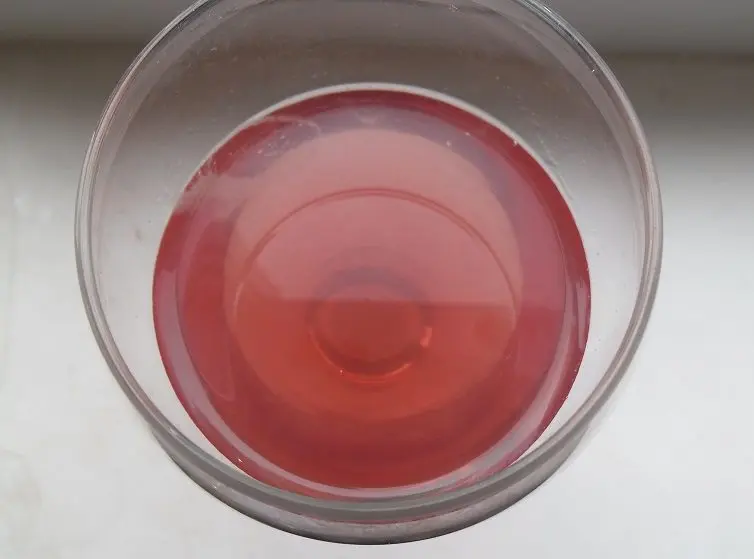 Homemade gooseberry (agrus) wine