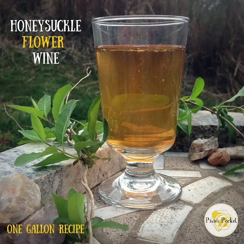 Homemade honeysuckle wine