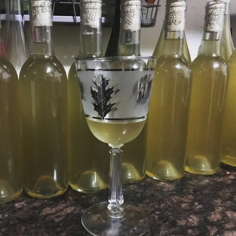 Homemade kiwi wine