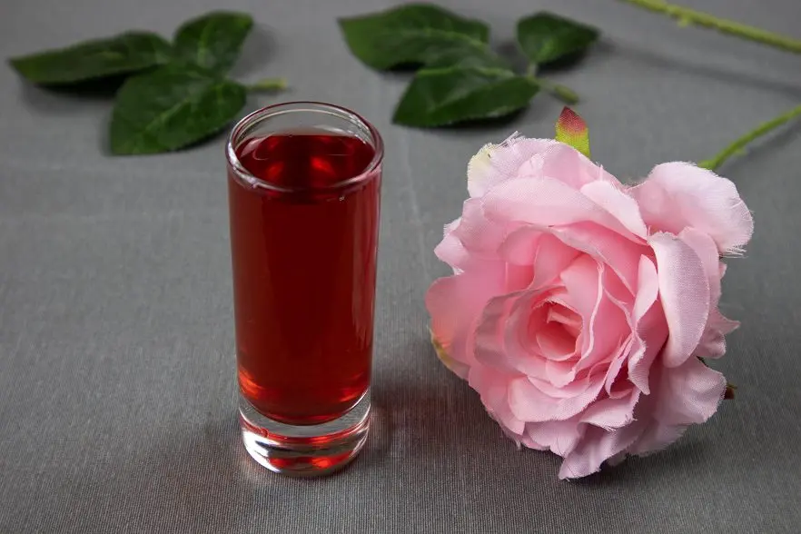 Homemade lingonberry liqueur with vodka or alcohol