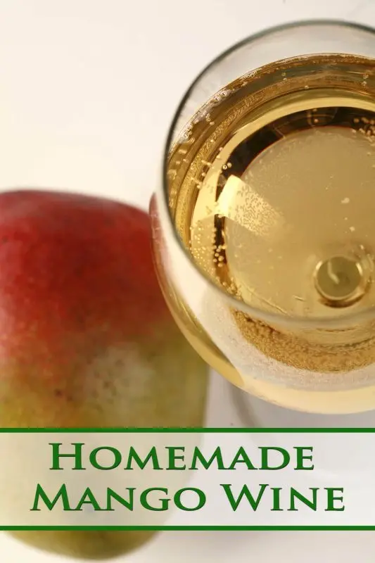 Homemade mango wine