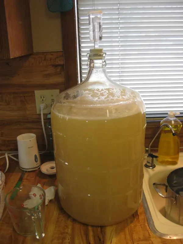 Homemade mead in two right ways