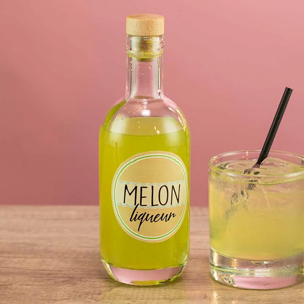 homemade melon liqueur recipe