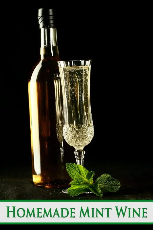 Homemade mint wine