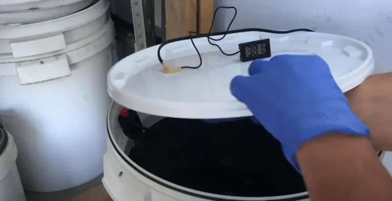 Homemade molasses rum &#8211; a detailed guide