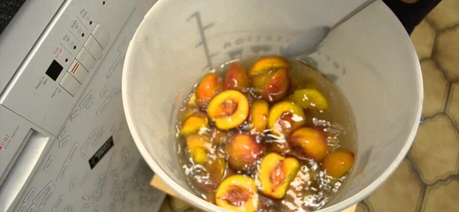 Homemade nectarine wine