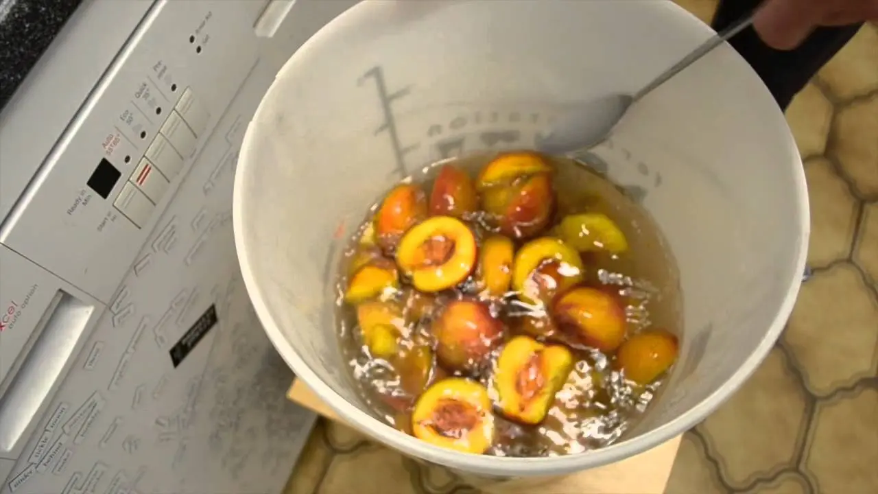 Homemade nectarine wine