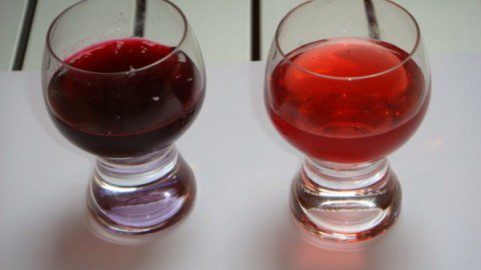 Homemade spotykach &#8211; traditional Ukrainian berry liqueur