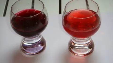 Homemade spotykach &#8211; traditional Ukrainian berry liqueur