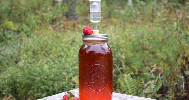 Homemade strawberry wine