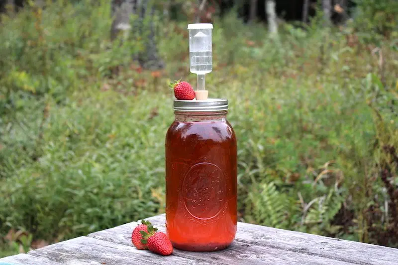 Homemade strawberry wine