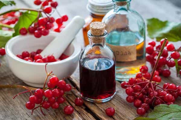 Homemade viburnum tincture on vodka, alcohol or moonshine