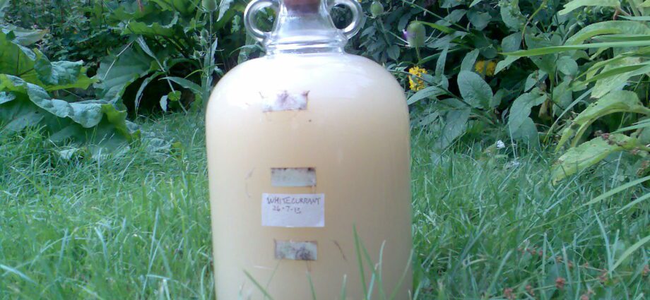 Homemade white currant wine