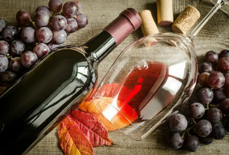 Homemade Wine 16 Best Step by Step Recipes