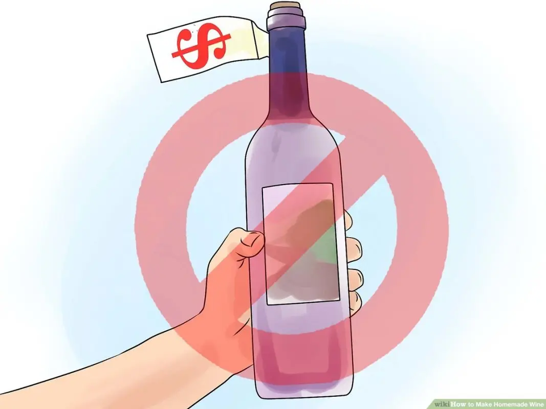 Homemade Wine 16 Best Step by Step Recipes