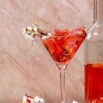 How and with what to drink Martini Bianco, Rosso, Extra Dry and Rosato