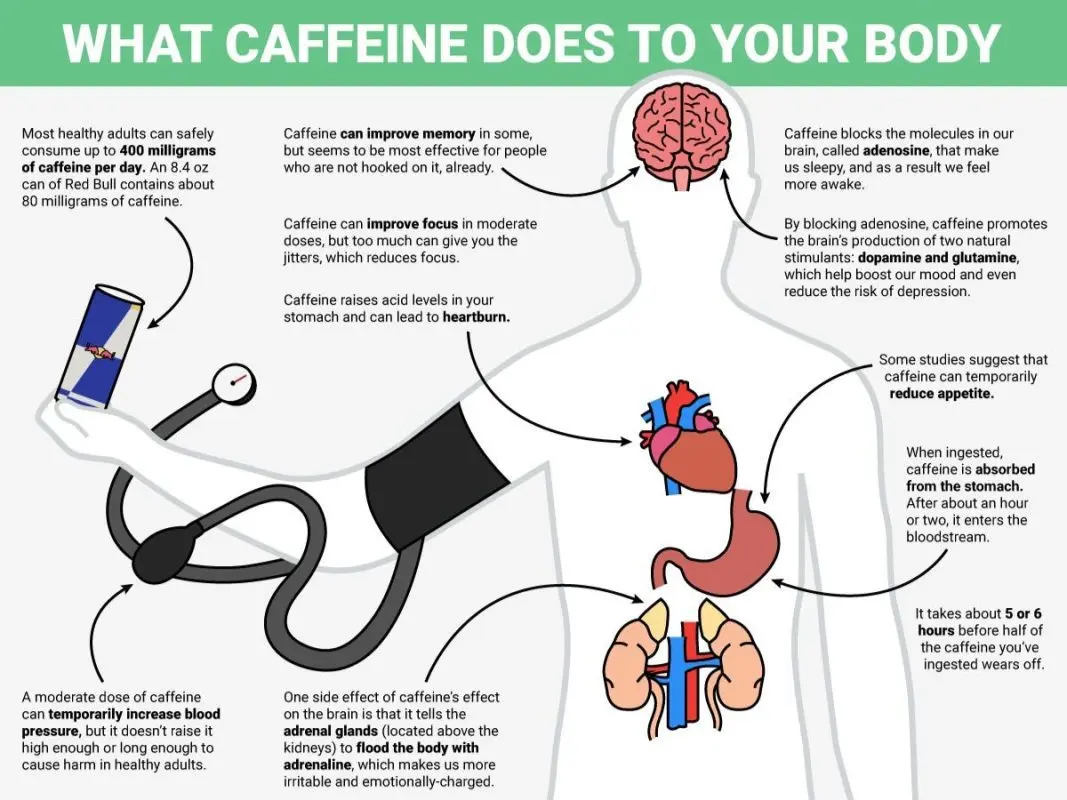 How Caffeine Affects the Brain and Body: Unexpected Facts