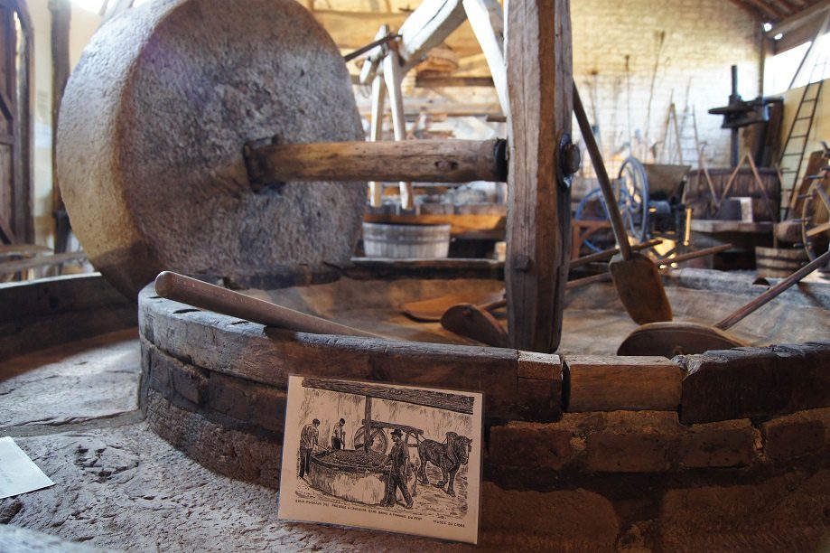 How cider is made and with what they drink