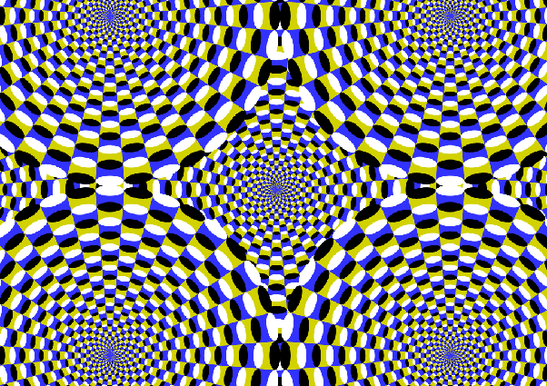 How do perceptual illusions arise?