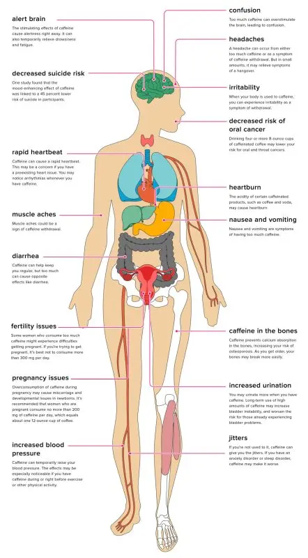 How does caffeine affect us and where can we find it, besides coffee?