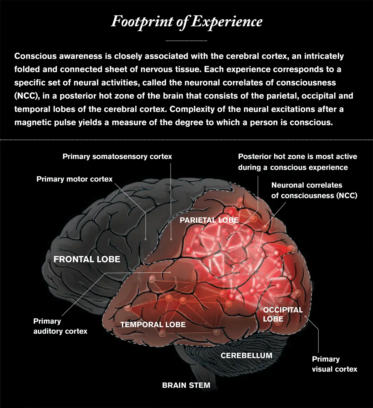 How does science explain consciousness?