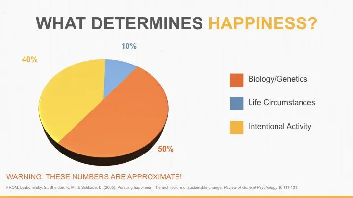 How genetics affects happiness