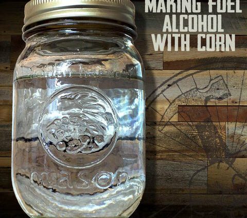 How I drove moonshine according to a special recipe from sugar, wine yeast and cookies: what kind of brew came out in the end