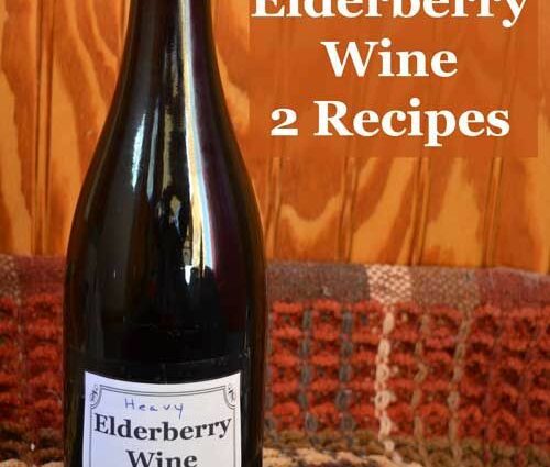 How I made wine from elderberry from my mother-in-law&#8217;s garden and spent only 60 rubles on it