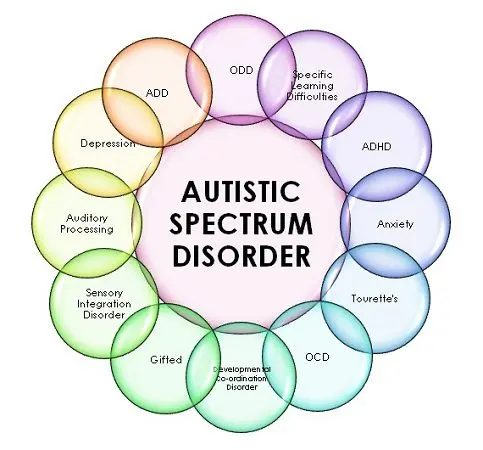 How is autism diagnosed?