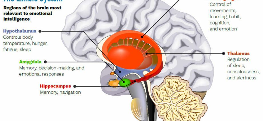 How mood affects brain function