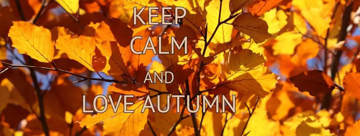 How to beat the autumn blues?