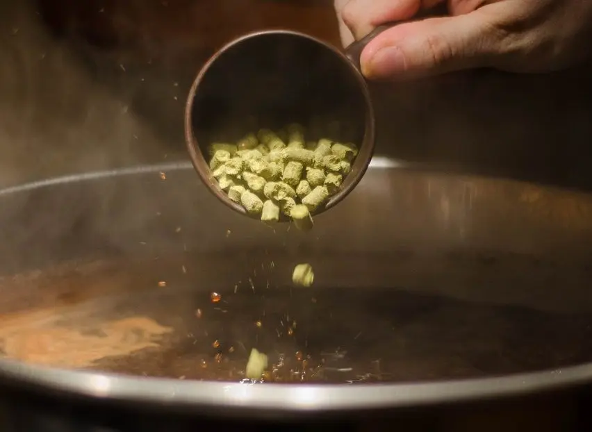 How to brew beer at home according to a traditional recipe