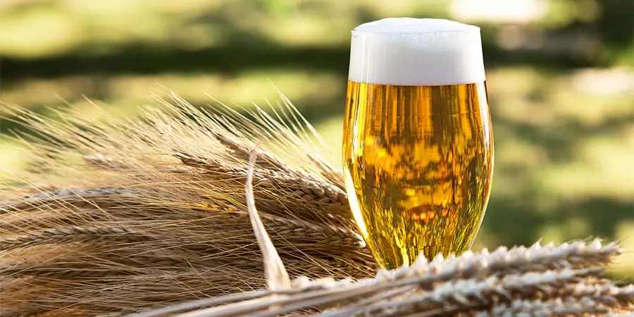 How to brew beer from malt and hops at home