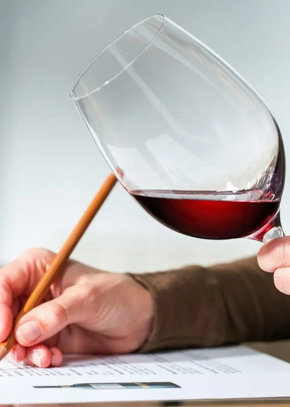 How to check the quality of wine from a supermarket at home: I share 3 ways