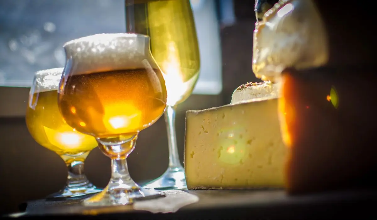 How to choose cheese for beer &#8211; successful combinations