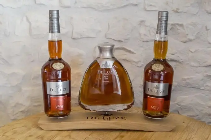 How to choose cognac in the nearest store to be sure of its quality and top 8 best options for price-quality