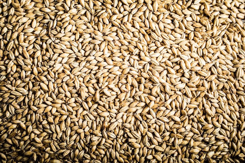 How to choose malt for homemade whiskey