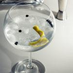 How to drink gin correctly &#8211; 6 tips how, with what, from what and why