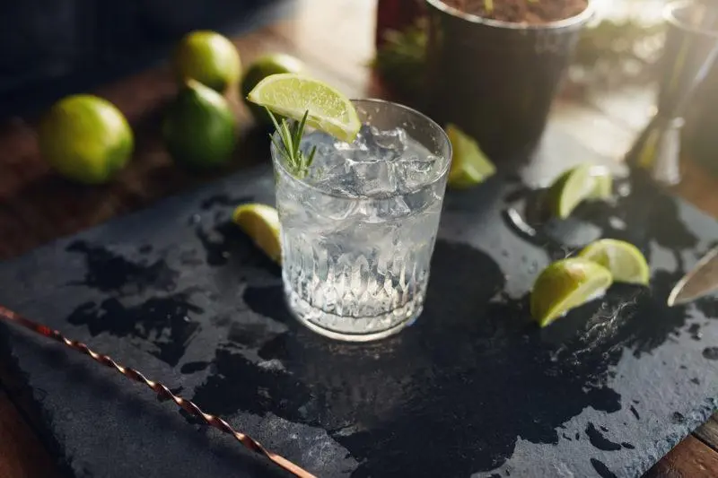 How to drink gin correctly &#8211; 6 tips how, with what, from what and why